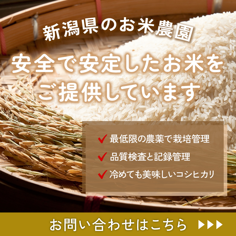 image (3)
